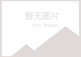 宁夏曼山化学有限公司